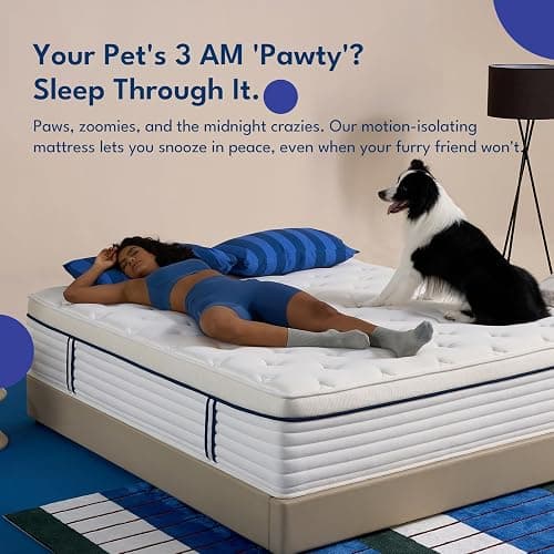 REJUSLEEP 12 Inch Queen Size Mattress, Hybrid Mattress in a Box, Cooling Gel Memory Foam and Individual Pocket Springs for Pressure Relief, CertiPUR-US Certified, Medium Firm Feel thumbnail 5