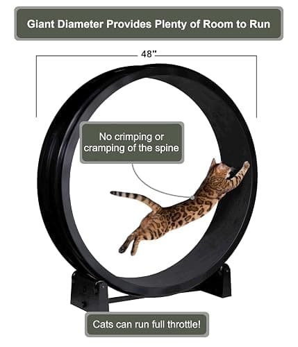 One Fast Cat - Cat Exercise Wheel - Gen. 7 - Safe 48" Diameter - Made in The USA - Black Wheel with Black Felt Traction Pads and Solid Inline Wheels thumbnail 4