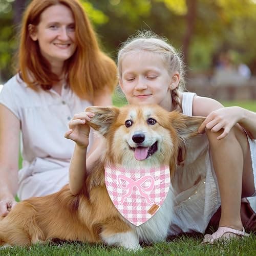 FYSUIMU 2Pcs Pink Bow Dog Bandana Cute Bowknot Triangle Pet Scarf Dot Gingham Reversible Adjustable Pet Neckerchief Dog Bib for Medium Large Dog Cat Costume Accessories thumbnail 6