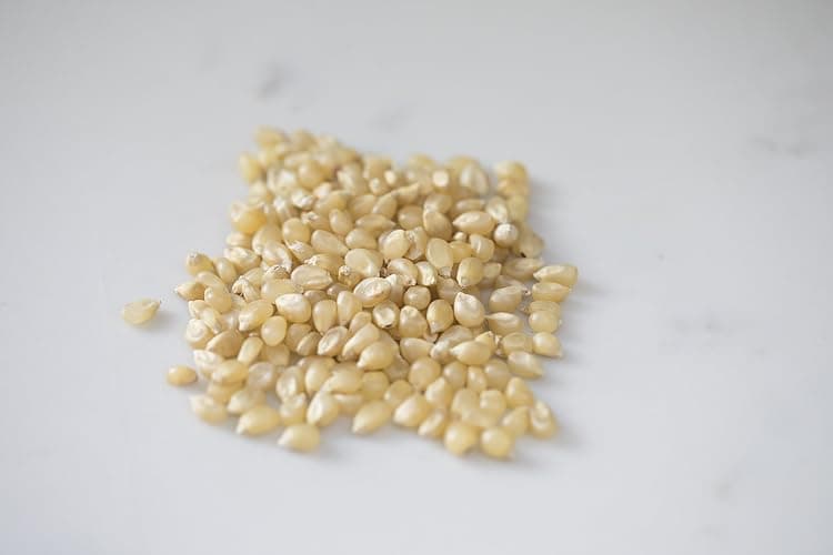 Amish Country Popcorn | 6 lb Bag | Medium White Popcorn Kernels | Old Fashioned, Non-GMO and Gluten Free (Medium White - 6 lb Bag) thumbnail 2