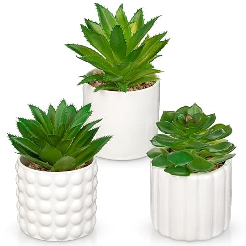 Briful Succulents Plants Artificial in White Ceramic Pots (Set of 3), Small Fake Plants for Home Office Desk Decor – Modern Mini Potted Succulents for Bathroom, Bedroom, Living Room Table, Shelf - Image 1