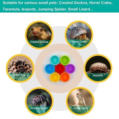 7 Pack Crested Gecko Food and Water Bowl, Eudimysx Reusable Small Reptile Feeding Dish, Gecko Tank Accessories for Hermit Crab, Tarantula, Isopods, Snails and Lizard, Silicone Easy Clean & 7 Colors thumbnail 6