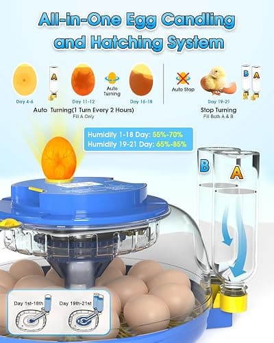 Incubators for Hatching Eggs,18 Egg Incubator with Automatic Egg Turning and Humidity Control,Egg Candler,Air Vent,360° Viewing for Chicken,Duck Eggs,Ideal for Farm,Classroom,Home Use thumbnail 6