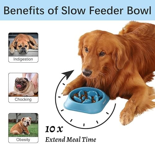 MateeyLife Slow Feeder Dog Bowls 2PCS, Anti-Choking Puzzle Dog Food Bowls, Anti-Slip Interactive Feeding Slow Down Eating, Bloat Stop Maze Dishes for Medium Breeds thumbnail 2