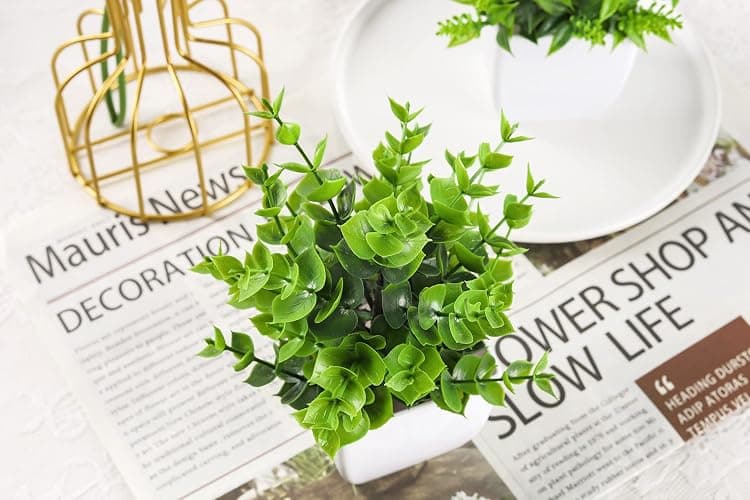 Der Rose 4 Pack Fake Plants, Greenery Potted Plants for Home Decor Indoor | Unique artificial plants, no-care potted greenery, for desk table windowsill bathroom office farmhouse and classroom decor thumbnail 8