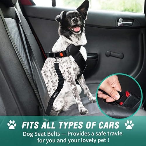 COOYOO Dog Seat Belt, Durability Retractable Dog Car Harness Adjustable Dog Seat Belt for Vehicle Nylon Pet Safety Seat Belts Heavy Duty & Elastic (1 Pack Black) thumbnail 6