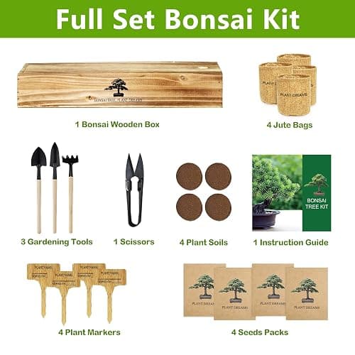 Bonsai Tree Kit, Bonsai Starter Kit with Seeds & Tools, Tree Live Plants Indoor, Gardening Gifts for Women Men Mom Father Plant Lover, Birthday Thanksgiving Christmas Gifts thumbnail 2