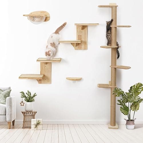 FUKUMARU Cat Wall Shelves, 2 Platform Cat Wall Furniture, Tree Shape Wall-Mounted Cat Floating Shelf with Sisal Mat, Solid Rubber Wood Cat Perch for 16 Inch Drywall, Suitable for Climb, Play, NapQQ thumbnail 6