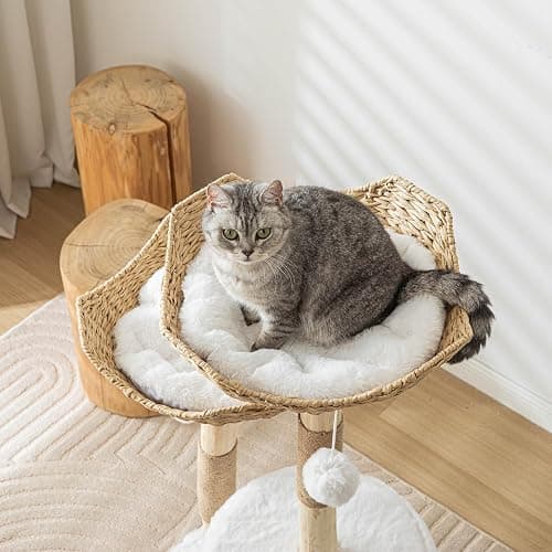 PISARRY Cat Tree Tower, 46 inch Modern Cat Tree for Indoor Cats Large Adult, Luxury Cat Condo with Scratching Post, Real Solid Wood Branch Indoor Boho Furniture, Climbing Tower, White thumbnail 4