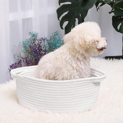 ABenkle Small Basket with Handles, Boho Decorative Rope Woven Dog Cat Toy Storage Bin Shelf Storage Organizer, Easter Christmas Gift Basket, 12"x8"x5", White thumbnail 2