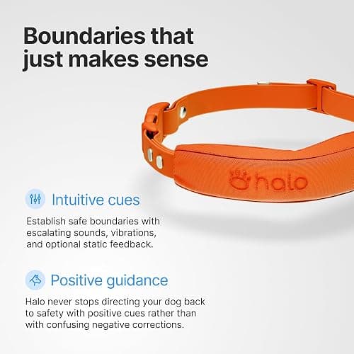 Halo Collar 5, New Wireless Dog Fence & GPS Dog Collar, Subscription Required, Waterproof, Blaze, One Size thumbnail 5