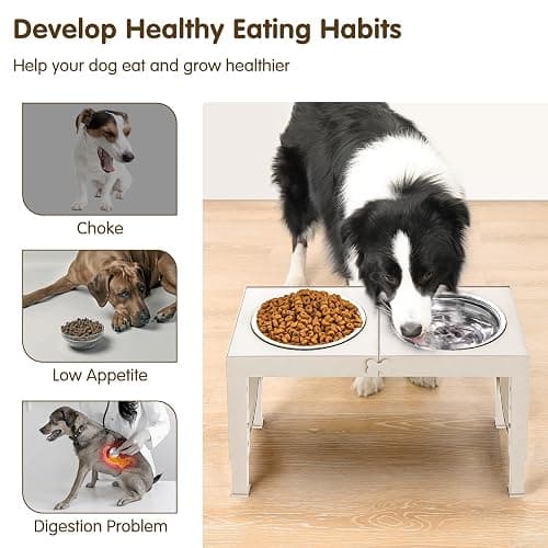 XIAZ Elevated Dog Bowls Large Breed Raised Dogs Bowl Stand Large/Medium Sized Dog 1L Food Water Bowl Stands 5 Heights Adjustable 9/11/12/14in White Pet Feeder Dish Station thumbnail 4