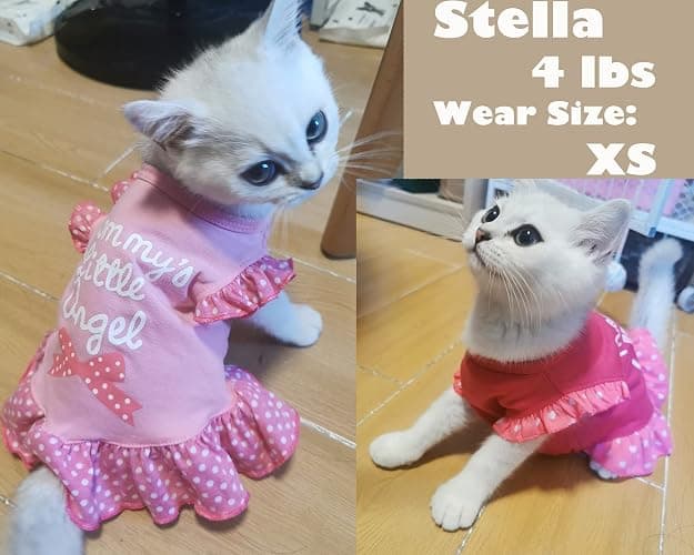XPUDAC 4 Pieces Pet Dog Dress Dog Clothes Girl Puppy Shirt Yorkie Clothes Cute Doggie Dress Pet Apparel for Small Dogs and Cats (Pink Angel, Small(4.5-8lbs)) thumbnail 5