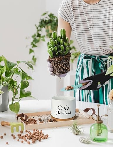 PWHINGN Funny Ceramic Succulent Planter Pots with Drainage Bamboo Tray, Office Windowsill Decor Indoor, Funny Plants Pots Desk Accessories for Plant Lovers Mom Friends Teacher (Not Plants) thumbnail 2