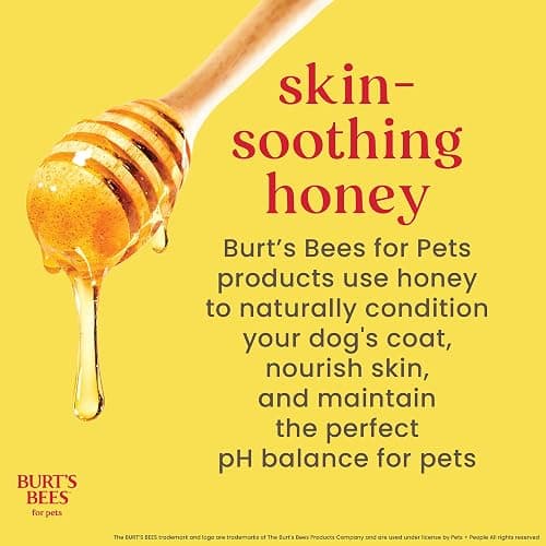 Burt's Bees for Puppies Natural Tearless 2 in 1 Shampoo and Conditioner | Made with Buttermilk and Linseed Oil | Best Tearless Puppy Shampoo for Gentle Skin and Coat | Made in USA, 16 Oz thumbnail 6
