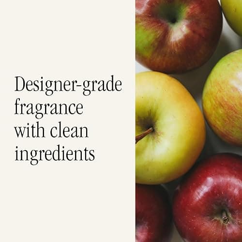 Pura Car Scent Refill, Apple Orchard | Fragrance for Pura Car Diffuser, Clean and Safe Luxury Diffuser Scent, Long-Lasting Fragrance for 30 Days of Aroma thumbnail 4