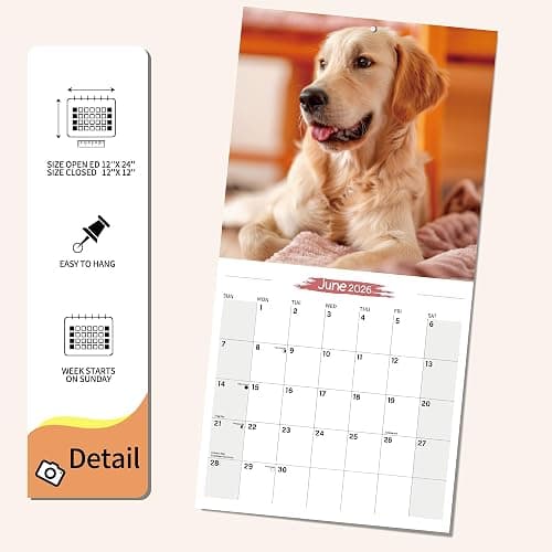 2026 Wall Calendar Golden Retriever Planner Calendar, Hangable Monthly Wall Calendar with Large Blocks for Organizing & Planning, Academic Schedule, Home, Office & family, Thick & Sturdy Paper (12"x24" Open) thumbnail 4