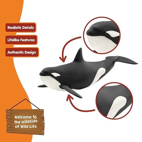 Schleich Wild Life, Animal Figurine, Animal Toys for Boys and Girls 3-8 Years Old, Killer Whale, Ages 3+ thumbnail 4