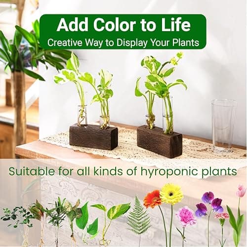 Propagation Station, Plants Terrarium, Plants Lover Gifts for Women,Plant Cutting Holder Home décor,Gifts for Women,House Warming New Home-4 Tubes-Brown thumbnail 8