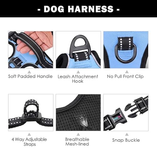 PHOEPET No Pull Dog Harness Reflective Adjustable Vest with a Training Handle, Name ID Pocket, 2 Metal Leash Hooks, 3 Snap Buckles [Easy to Put on & Take Off](S, Baby Blue) thumbnail 4