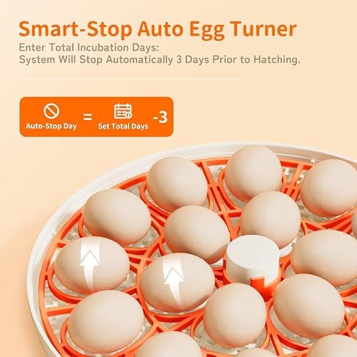18 Egg Incubator, Automatic and Adjustable Egg Turning, Egg Candler, Temperature and Humidity Control, Hatch Day, 2 Size Egg Tray, Automatic Water Refill, Hatching Chicken Quail Duck Turkey Goose Bird thumbnail 5