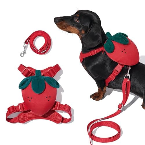 VETRESKA Strawberry Dog Harness and Leash Set, No Pull Dog Vest Harness for Small Dogs Cats, Walking and Training, Adjustable, Easy Control and Soft Padded Pet Harness and Backpack (XS) - Image 1