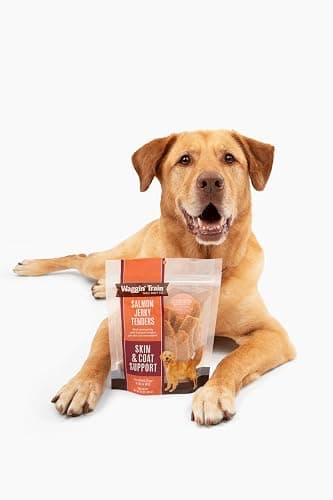 Waggin' Train Salmon Jerky Tenders for Skin & Coat Support for Dogs - 12 oz Pouch - Grain Free, High Protein Dog Treat thumbnail 7