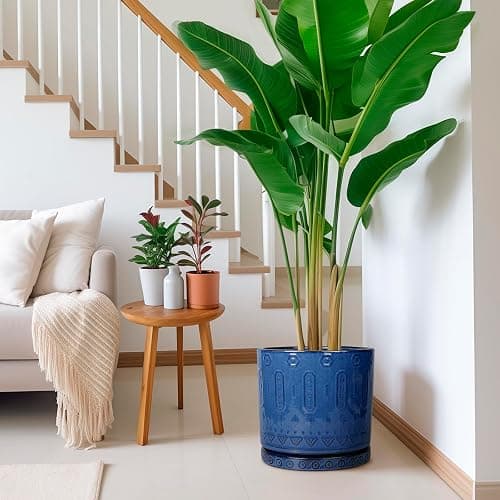 Eightpot Plant Pot Saucer - 11.4 Inch Plant Saucer for Outdoors Ceramic Plant Tray for Indoors No Holes Large Plant Drip Trays Round Flower Pot Saucer Plant Dishes to Catch Water Blue thumbnail 8