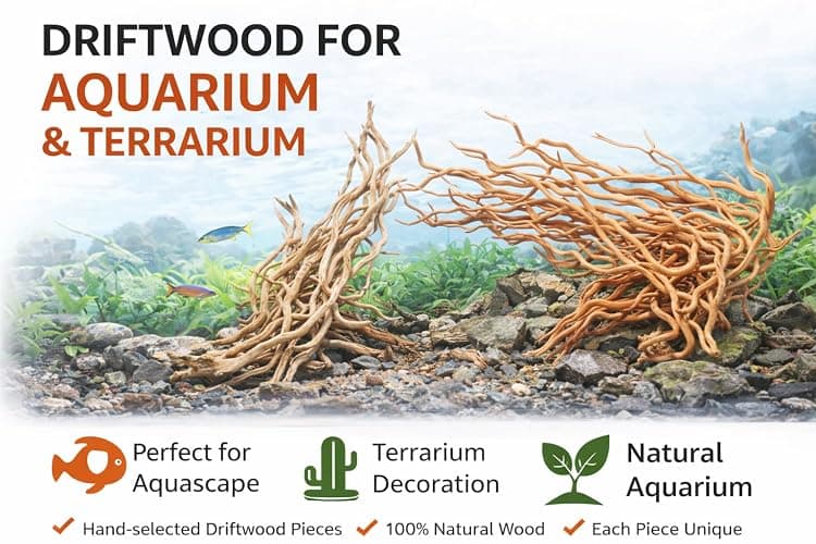 Azil Natural Aquarium Driftwood Root – Driftwood for Aquarium Decor, 170g~0.38lb (14″–16″), Fish Tanks, Terrariums, Aquascaping & Planted Tanks thumbnail 4