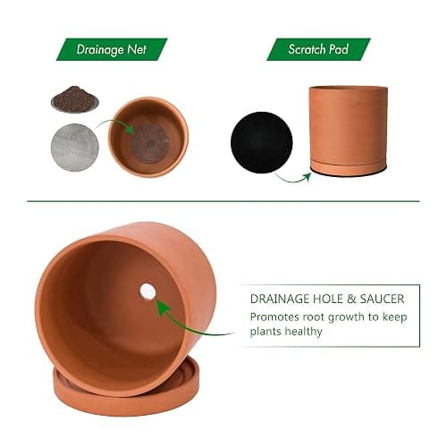 D'vine Dev Terracotta Pots for Plants, 6.5 Inch 8.3 Inch 10 Inch, Round Cylinder Planter Pot with Drainage and Saucer, 40-T-C-0 thumbnail 4