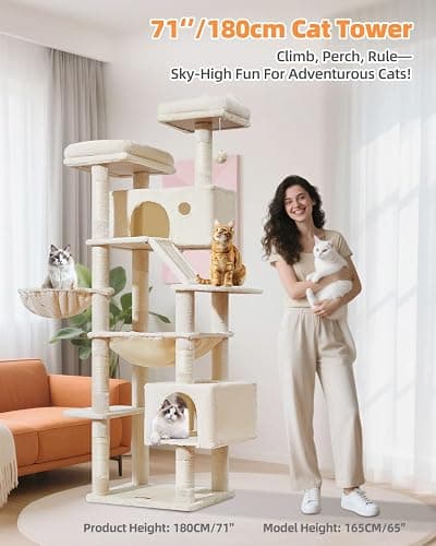 Taoqimiao Arbre a Chat Maine Coon,180cm Stable Arbres à Chat XXL avec 2 Condos Spacieux pour Chats, 8 Griffers, 2 Plateformes, Panier pour Matou, Confortable Hamac, Beige MS026LM thumbnail 2