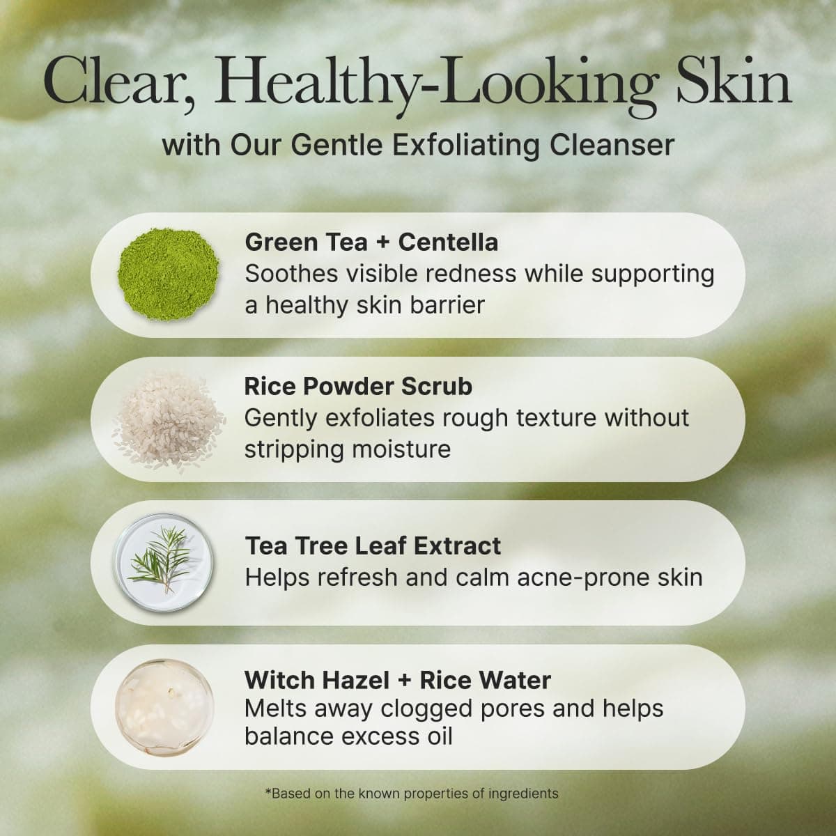 Arencia Korean Rice Mochi Face Cleanser - Face Mask, Foaming Cleanser, Soft Scrub, All-In-One - Deep Cleansing, Moisturizing, Minimizing Pores, Removing Blackheads - with Rice Water and thumbnail 5