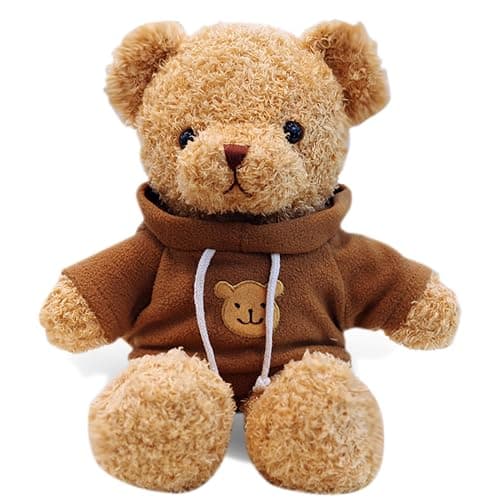 Teddy Bear - Image 1
