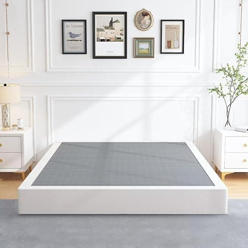 ALDRICH Queen Box Springs 9 Inch Heavy Duty Metal Box Spring Mattress Foundation 3000lbs Max Weight Capacity/Non-Slip/No Noise/Easy Assembly/Easy Clean Cover - Image 1