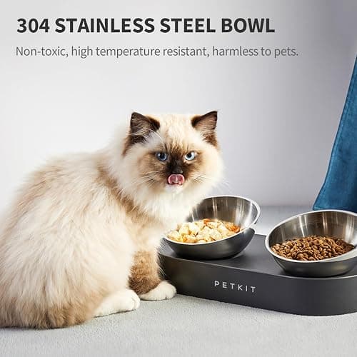 PETKIT 304 Stainless Steel Elevated Cat Bowls&Dog Bowls,Raised Cat Food and Water Bowl Set, Non-Slip, Anti Vomiting 15°Tilted Cat Small Animal Plate thumbnail 2