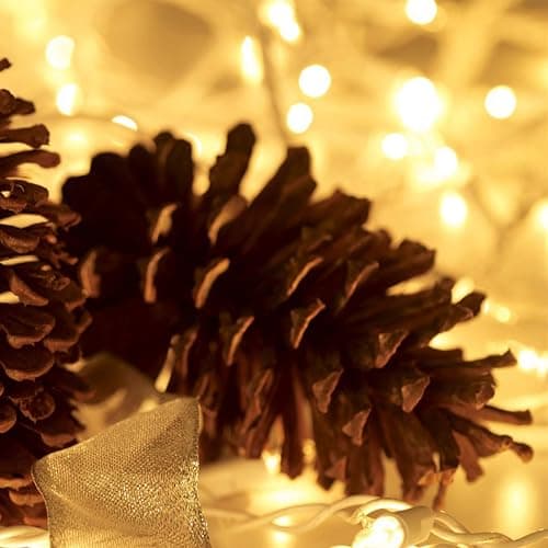 Christmas Lights 100 Count Mini Clear Lights 32ft White Wire Christmas Tree String Lights Set for Outdoor Indoor Christmas Decorations Wedding Decorations Valentines Day Decor,UL Certified (32feet) thumbnail 4