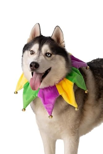 ComfyCamper Dog Mardi Gras Neckpiece Collar Costume - XS Small Medium XL XXL Bandana Cosplay Halloween Costumes, M thumbnail 2