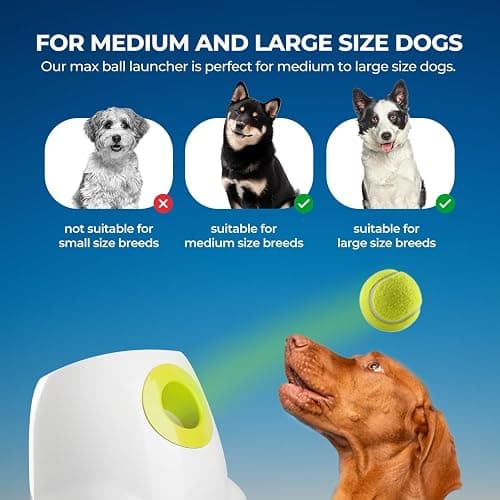 ALL FOR PAWS Automatic Dog Ball Launcher for Medium to Large Dogs, Interactive Tennis Ball Thrower, Rechargeable Dog Toy Mental Stimulation Training Game for Energetic Dogs thumbnail 5