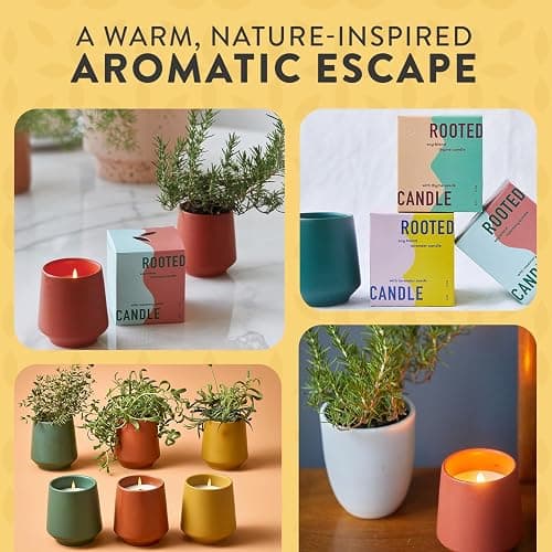 Modern Sprout Rooted Candle - 2 in 1 Scented Cedarwood 6 oz Christmas Soy Candle with Lavender Plant Seeds, 42 hr Burn Time in Matte Glaze Ceramic Vessel, Indoor Herb Garden Kit, Holiday Gift & Decor thumbnail 8