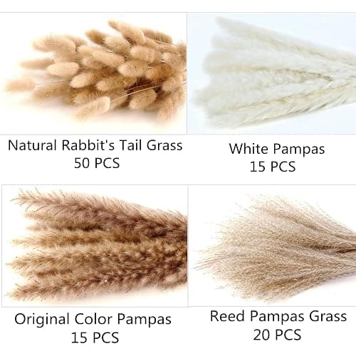 Dried Pampas Grass Decor, 100 Stems Pampas Grass Contains Bunny Tails Dried Flowers, Reed Grass Bouquet for Wedding Boho Flowers Home Table Decor, Rustic Farmhouse Party (17", White and Brown) thumbnail 5