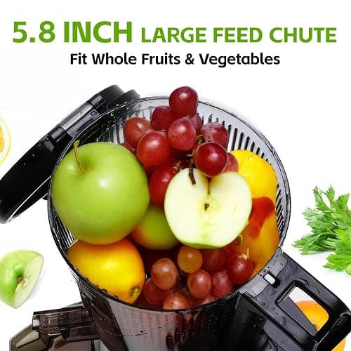 Cold Press Juicer, 5.8" Wide Feed Chute Juice Extractor Machine with 400W, High Juice Yield, Slow Masticating Juicer for Whole Vegetables & Fruits, Premium Silver - Premium Grey thumbnail 2