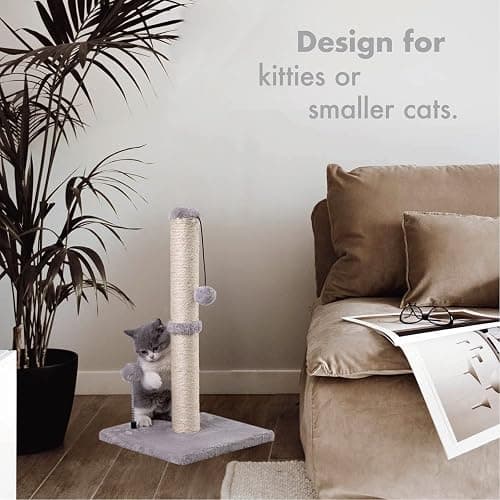 MECOOL Cat Scratching Post Premium Basics Kitten Scratcher Sisal Scratch Posts with Hanging Ball 22" for Kittens or Smaller Cats (22 inches for Kitten, Gray) thumbnail 2
