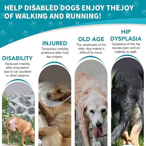 Dog Wheelchair for Back Legs with Pet Traction Rope, X-Small Wheelchair for Dogs with Disabled Hind Legs Walking Adjustable Dog Carts with Heavy Duty Wheels thumbnail 7
