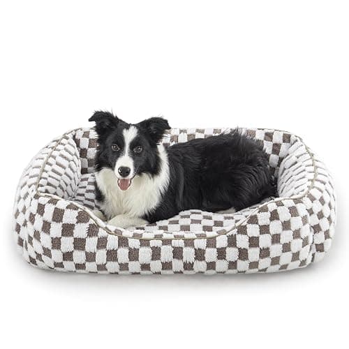New Bed for Olive - Image 1