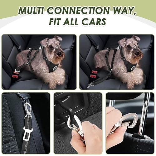 SlowTon Dog Seat Belt Harness for Car, Dog Car Harness Adjustable Mesh Breathable & Dog Seatbelt Safety Tether with Elastic Bungee for Small Medium Large Pets(Black, Double Clip, M) thumbnail 2