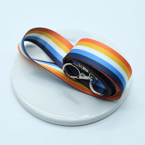 TAMAWire LGBTQIA Pride Flag Lanyard, Gay Lesbian Bisexual Badge Safety Breakaway for Event, Thing Accessories Stuff (Aroace) - Aroace thumbnail 3