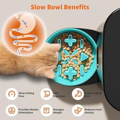 HoneyGuaridan Automatic Cat Feeder for 2 Cats,3.5L Dual Cat Food Dispenser, 2.4G/5G WiFi APP Control for Multiple Cats,2 Stainless Steel Bowls & 2 Slow Feeder Anti-Choking Bowls, Dual Power thumbnail 3