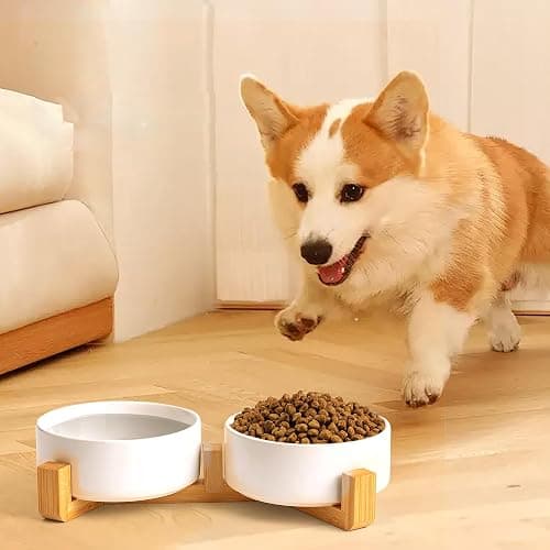Kimdio Ceramic Dog Bowls with Wood Stand, 13.5OZ Pet Bowls Set of 2 for Medium Small Dogs and Cats - Non-Slip Base Cute Pet Food & Water Basic Bowls Glaze Matte-White thumbnail 3