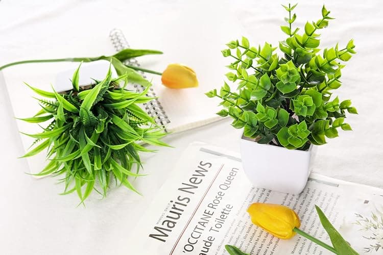 Der Rose 2 Pack Small Fake Plants Mini Artificial Potted Plants for Table Desk Home Bathroom Office Decor thumbnail 7