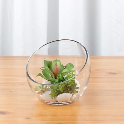 WGVI Clear Slant Cut Bowl Glass Vase, Glass Terrarium, Candy Dish, Glassware, Slant Open: 7". Height: 6" x 2.7". Base: 4" (1 Piece) thumbnail 6